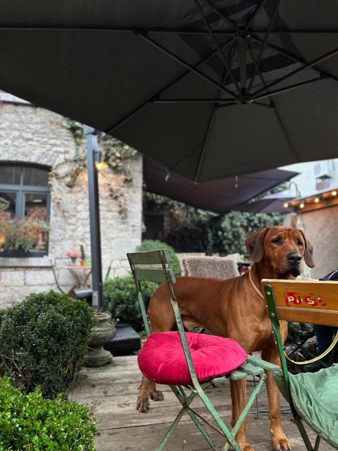 Bed and breakfast édouard Garden Café Guest *